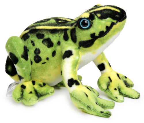 Frisco the Frog