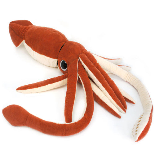 Shubert the Squid