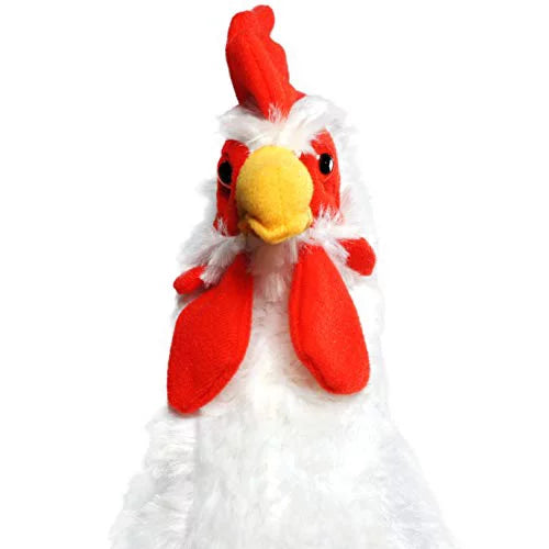 Heidi the Hen