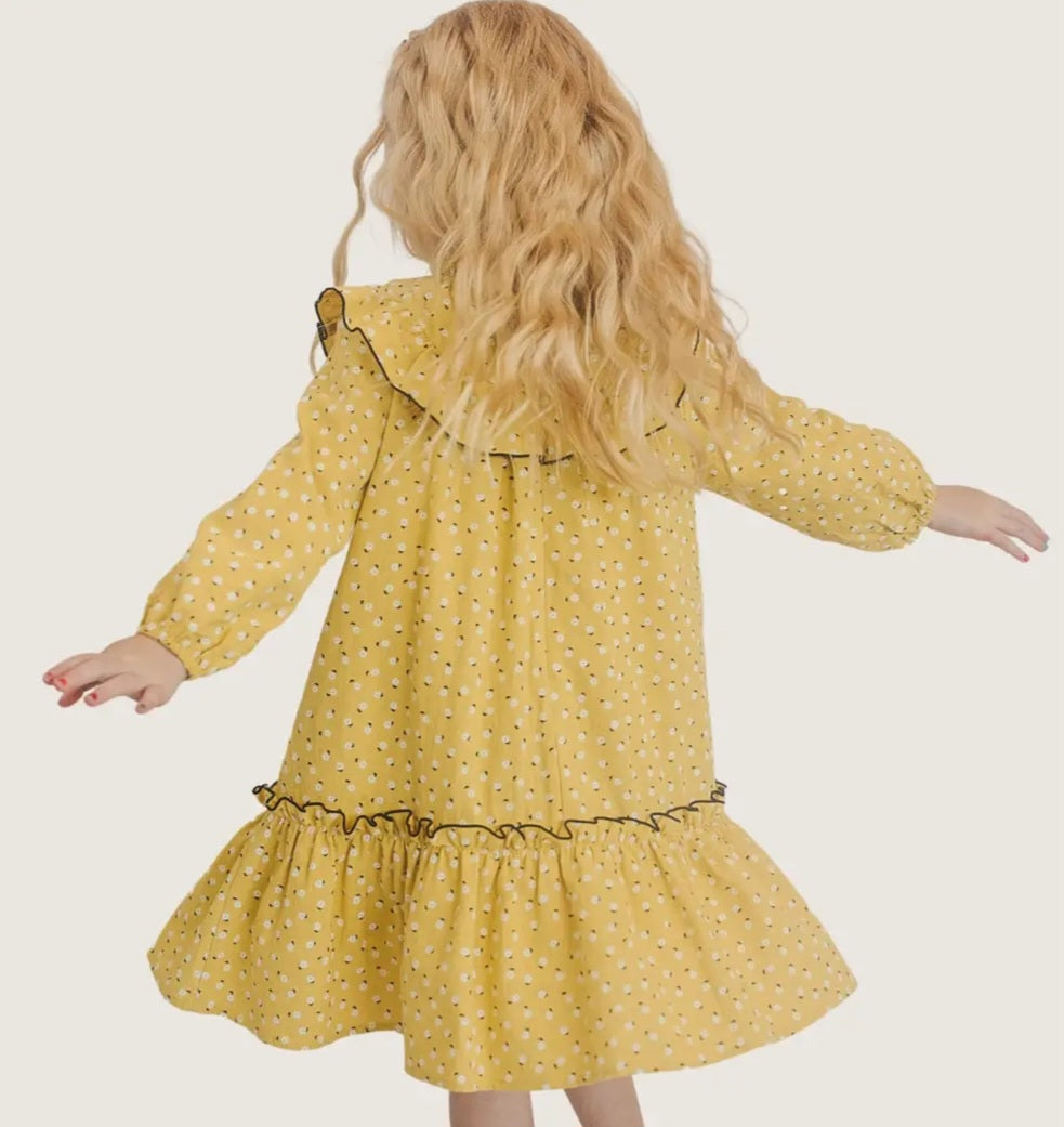 Bumblebee Long Sleeve Kid’s Dress