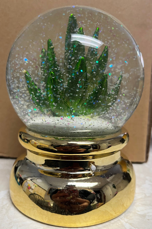 Cactus Snow Globe