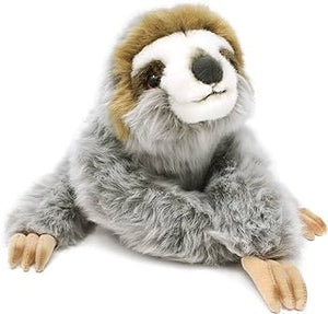 Siggy the Threetoed Sloth Baby