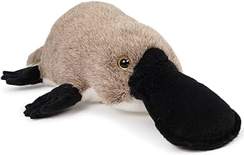 Prudence the Platypus