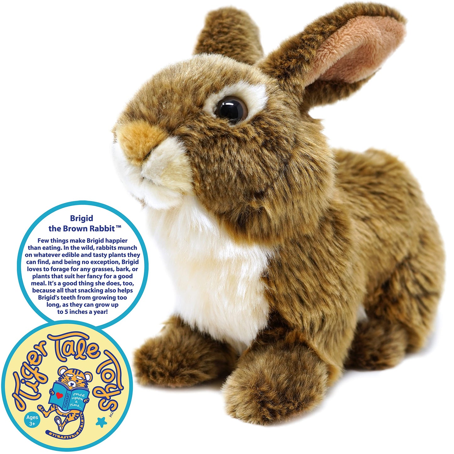 Brigid the Brown Rabbit