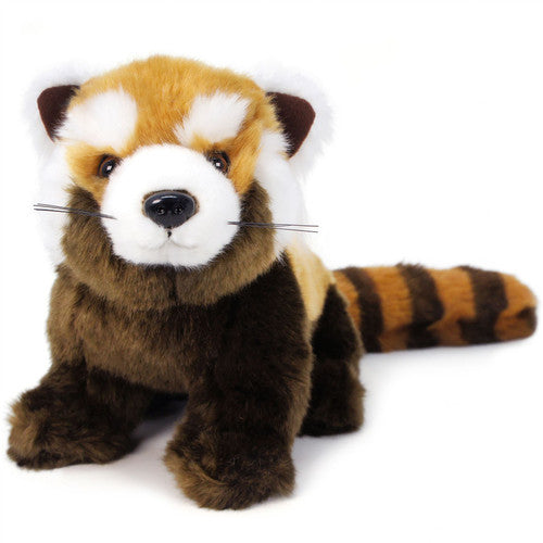 Raja the Red Panda