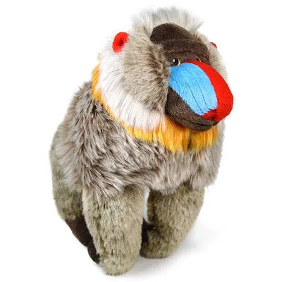 Mambo the Mandrill