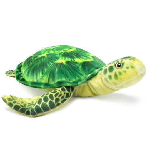 Olivia the Hawksbill Turtle