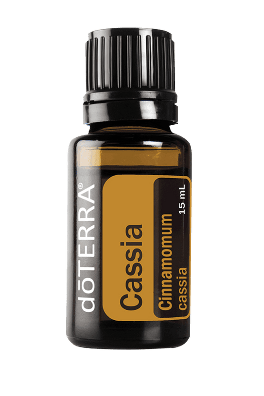Cassia Oil