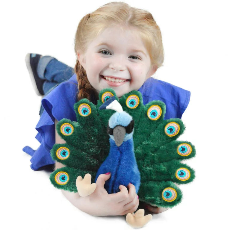 Pakhi the Peacock