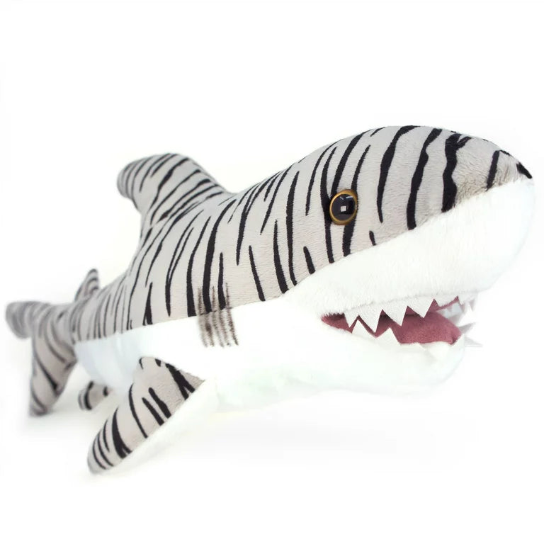 Sheila the Tiger Shark